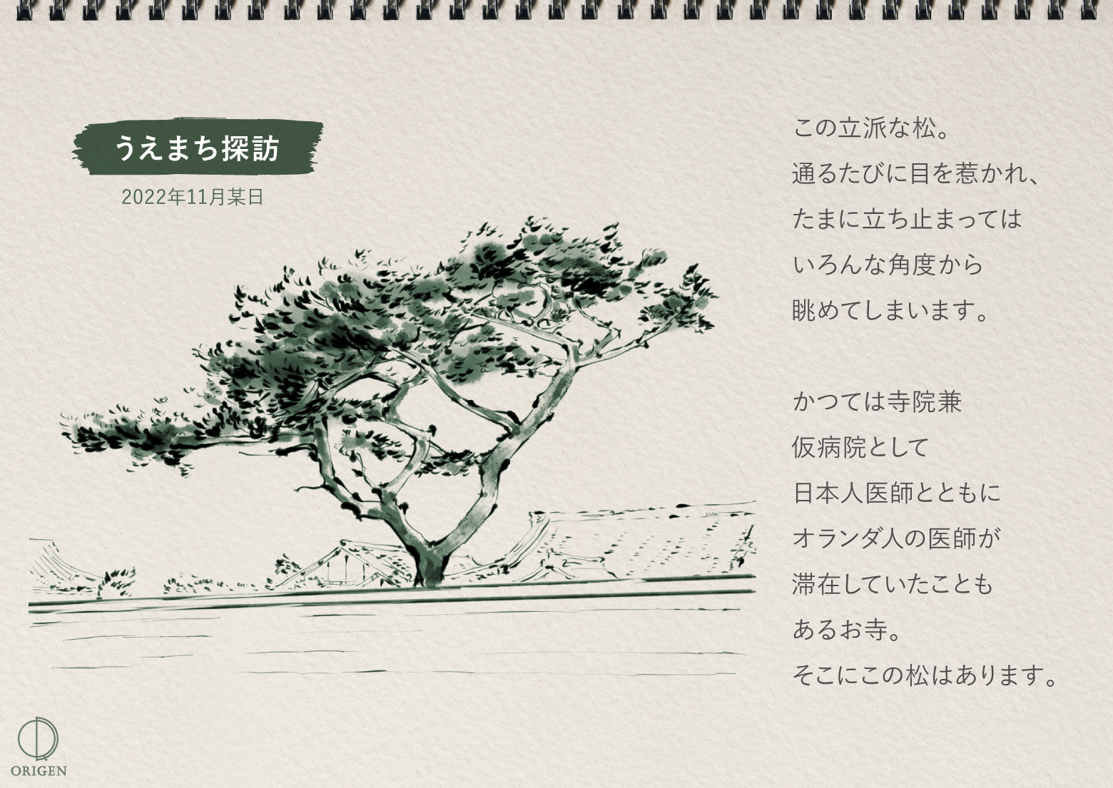 上本町 お寺の松の木