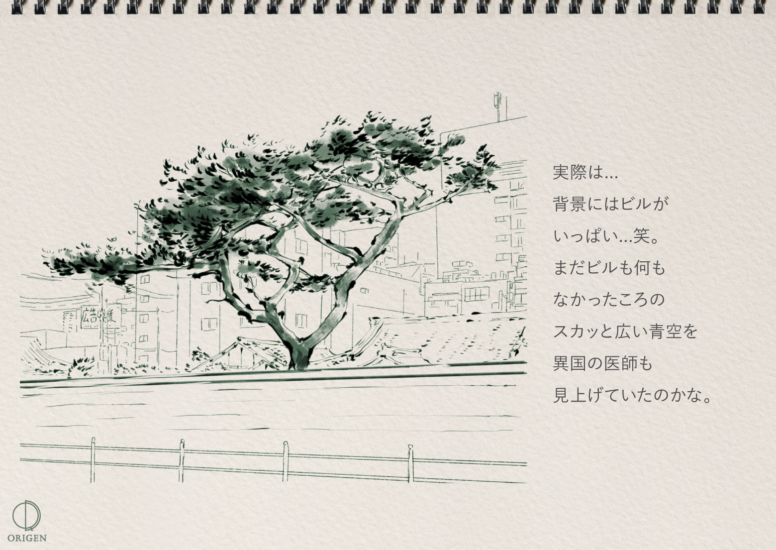 上本町 お寺の松の木の背景